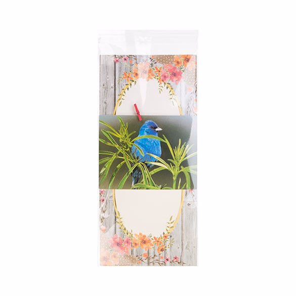 Crystal Clear Flap Seal Clear Bags For Menu Cards and Sticker Sheets Bag Size: 5 11/16" x 12 1/16" 100 Bags Crystal Clear Bags