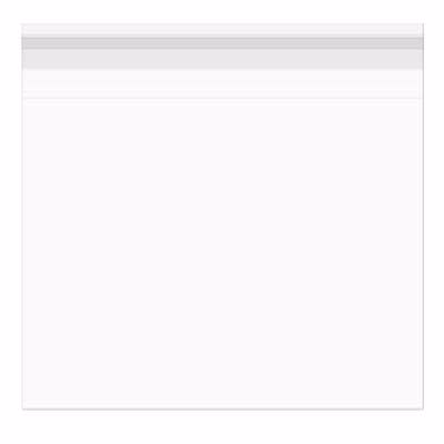 Crystal Clear Bags® with Flap 10 3/16" x 10 1/16" 100 pack
