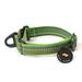 OllyDog Rescue Martingale Mesa Collar Limited Cinch Slide-On Martingale Dog Collar with Multiple Color Webbing Eco-Friendly Dog Collar (Medium Prism Green)