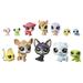 Littlest Pet Shop Lucky Dozen Donuts Set