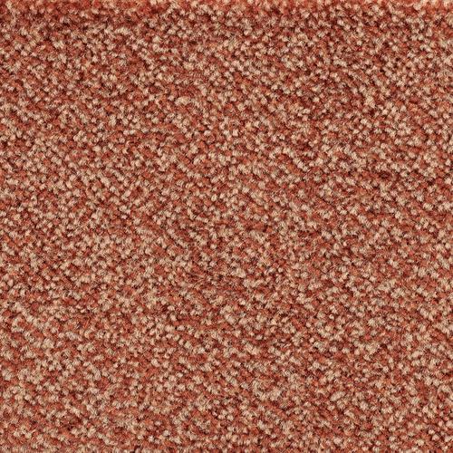 „BODENMEISTER Teppichboden „“Veloursteppich Juno““ Teppiche Wohnzimmer, Schlafzimmer, Kinderzimmer, Breite 400500 cm Gr. B/L: 500 cm x 200 cm, 8,5 mm, 1 St., orange Teppichboden“