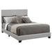 Coaster Furniture Dorian Upholstered Bed
