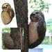 Sehao Sculptures & Statues 1 PC Tree Sculpture Adorable Tree Peeker Yard Decoration Garden Peeker Tree Hugger Outdoor Statues Sloth Hug Decorations Garden Cat Sloth Sculptures Beige