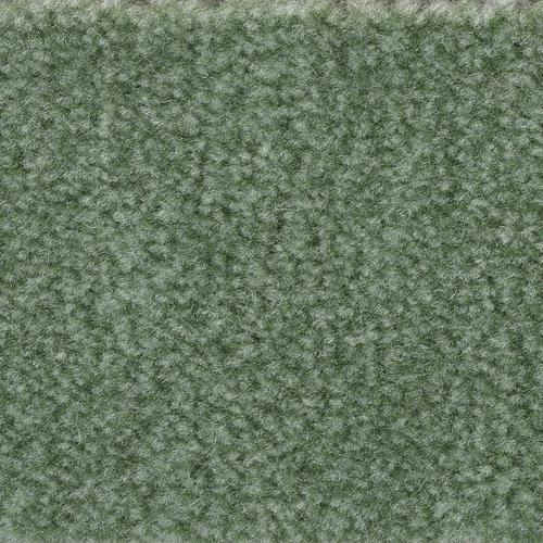 „BODENMEISTER Teppichboden „“Veloursteppich Jupiter““ Teppiche Wohnzimmer, Schlafzimmer, Kinderzimmer, Breite 400500 cm Gr. B/L: 400 cm x 450 cm, 7,5 mm, 1 St., grün Teppichboden“