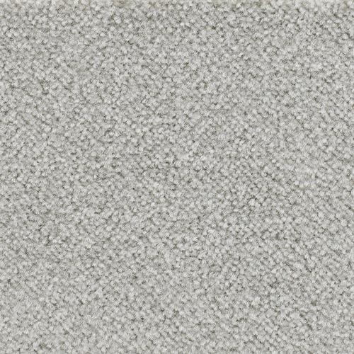 „BODENMEISTER Teppichboden „“Veloursteppich Juno““ Teppiche Wohnzimmer, Schlafzimmer, Kinderzimmer, Breite 400500 cm Gr. B/L: 500 cm x 250 cm, 8,5 mm, 1 St., grau (hell, grau) Teppichboden“