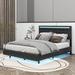 Red Barrel Studio® Piqua Queen Size Floating Bed Frame w/ LED Lights Upholstered in Black | 43.7 H x 64.6 W x 83 D in | Wayfair