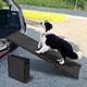 FASNATI Folding Dog Ramp for Cars, Extra large 180×50cm, Portable Pet Ramp for Large Dogs with Anti-Slip Tape, Available for Truck,Bed, Car, SUV, Lightweight and Easy Storage