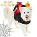 Mairbeon Chucky Inspired Halloween Pet Costume Pumpkin Ride Design Fastener Tape Adjustable Medium Pet Costume Supplies