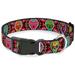 Buckle-Down Plastic Clip Collar - Six Sugar Skulls Multi Color - 1 Wide - Fits 15-26 Neck - Large