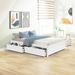 Latitude Run® Audrae Storage Bed Wood in White | 15.69 H x 56.96 W x 75.92 D in | Wayfair 5C0824D0D25041168F4C14C349DDCA4B