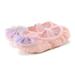 eczipvz Toddler Shoes Children Shoes Dance Shoes Dancing Ballet Performance Indoor Lace Flower Yoga Practice Dance Shoes Cat and Toddler Shoes (Pink 3 Big Kids)