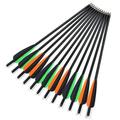 20 Inch Carbon Crossbow Bolts 12 Pack Crossbow Bolts Carbon Arrows for Hunting and Outdoor Practice