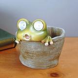 Ikohbadg Cute Green Frog Plant Pot with Solar Light Country Decorative Resin Flower Pot Small Gardening Planter for Succulents Floral Cactus Home Office Garden Decor Indoor Outdoor Multicolor