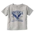 USA Land of the Free Patriotic Eagle Toddler Boy Girl T Shirt Infant Toddler Brisco Brands 2T