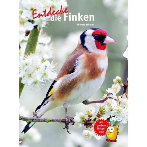 Entdecke die Finken – Thomas Schmidt