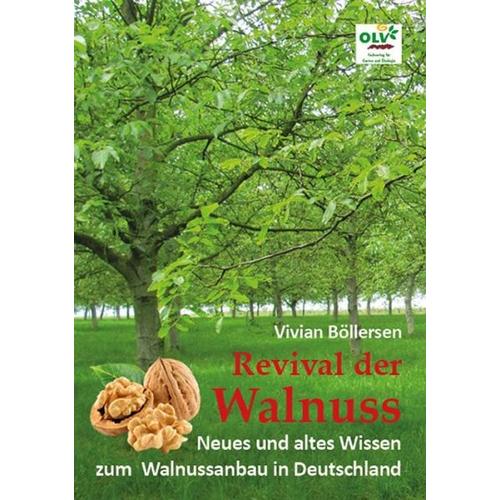 Revival der Walnuss – Vivian Böllersen