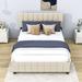 Latitude Run® Seemab Storage Bed Wood & /Upholstered/Velvet in Brown | 45 H x 64 W x 84 D in | Wayfair 47931B54C42C47C093D332698C4606BD