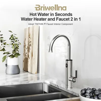 Briwellna-Robinet chauffe-eau électrique 2 en 1 robinet Geyser robinet de cuisine acier