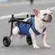 Jambes postérieures réglables pour animaux de compagnie handicapés aide à la mobilité chariot pour