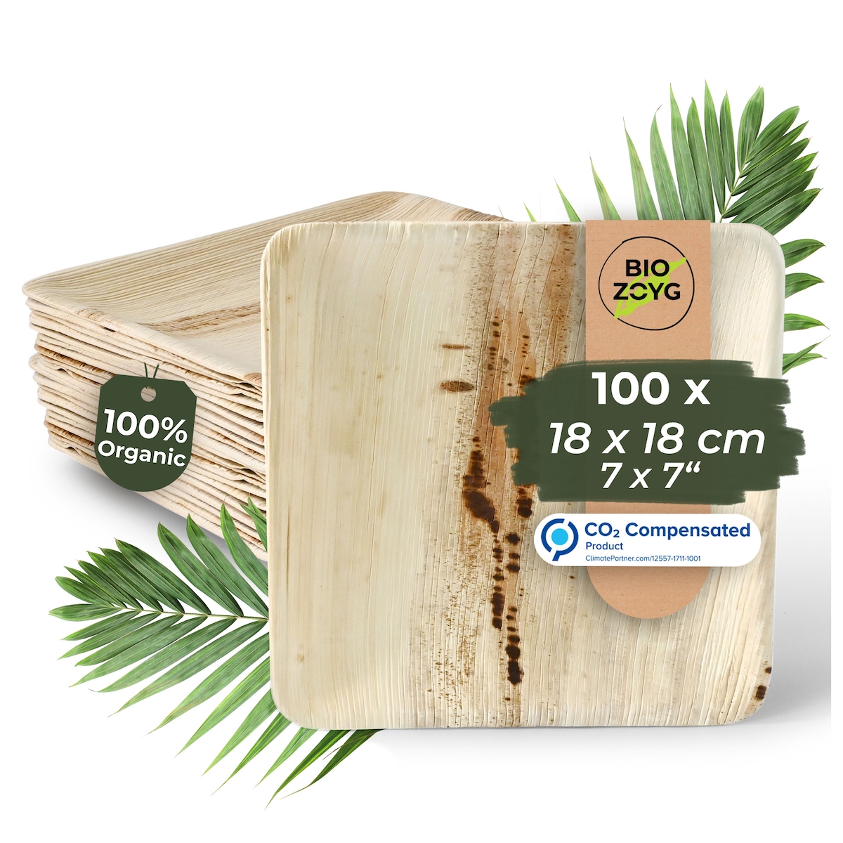 BIOZOYG 100 Stück Einwegteller 18x18cm Palmblatt-Teller, quadratisch, biologisch abbaubar, umweltfreundlich, kompostierbar, Wegwerfteller Image