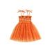 Nituyy Kids Girls Slip Dress Tie-up Sleeveless Pumpkin Print Tulle Dress Summer A-line Dress Halloween Costume