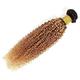 Hair Bundles Brazilian Curly Hair Bundles 30# Remy Hair Brown 1/3/4 Kinky Curly Human Hair Extensions Burgundy Hair Weaving Human Hair Bundles (Color : 1B27, Size : 18 18 20)