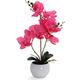 Bornbridge Artificial Orchid - Fake Orchid Plant with Real Touch Flowers - Faux Orchid with Long Stem Artificial Flowers - Potted Orchid/Plastic Orchid Fake Flowers (Single, Hot Pink - Large)