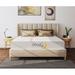 Twin 8" Gel Mattress - Alwyn Home Nikolas 8 inch Particles Infused | 75 H x D in Wayfair 6914B4ECB7BD493297B4E200AA5CCC98