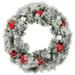 Pre-Lit Battery Operated Snowy Bristle Pine Christmas Wreath - 24" - Warm White LED Lights - Green