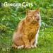 Ginger Cats | 2024 12x24 (Hanging) Square Wall Calendar | BrownTrout