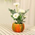 Ploknplq Flower Pots Pots Pumpkin Flower Pot Decoration Ornaments Home Decoration Thanksgiving Decoration Hanging Planter A