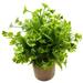 Svenee Fake Four Leaf Clover Plants for Bathroom Home Office Desk Decor Small Artificial Faux Green