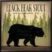 Loon Peak® Take A Hike Bear Black Bear Stout By Ryan Fowler, Framed Wall Art Canvas, Glass in Black/Green | 24.8" H x 24.8" W x 1.5" D | Wayfair