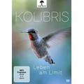 Kolibris - Leben am Limit (DVD) - polyband Medien