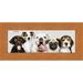 13.5x40 Traditional Honey Pecan Complete Wood Panoramic Frame with UV Acrylic, Backing, & Hardware