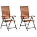vidaXL 2 pcs Reclining Patio Chairs Solid Wood Acacia - 23.2" x (28.7"-38.6") x (38.2"-43.7")