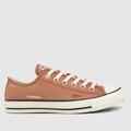 Converse all star ox tiny tattoos trainers in beige
