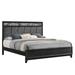 New Classic Furniture Lenox Black Panel Bed with Padded Headboard