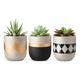 Mkono Cement Succulent Planter Set of 3 Concrete Plant Pots Modern Flower Pots Indoor for Cactus Her