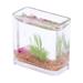 Kripyery Goldfish Bowl Model Realistic Decorative Ornament Miniature Glass Fish Tank for Dollhouse Photo Props Miniature Scenes