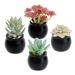 Luyue 4 Pack Potted Fake Succulents Decoration Artificial Succulent Sets with Pot Faux Mini Plants f