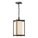 Hubbardton Forge Cela 17 Inch Tall Outdoor Hanging Lantern - 362023-1000