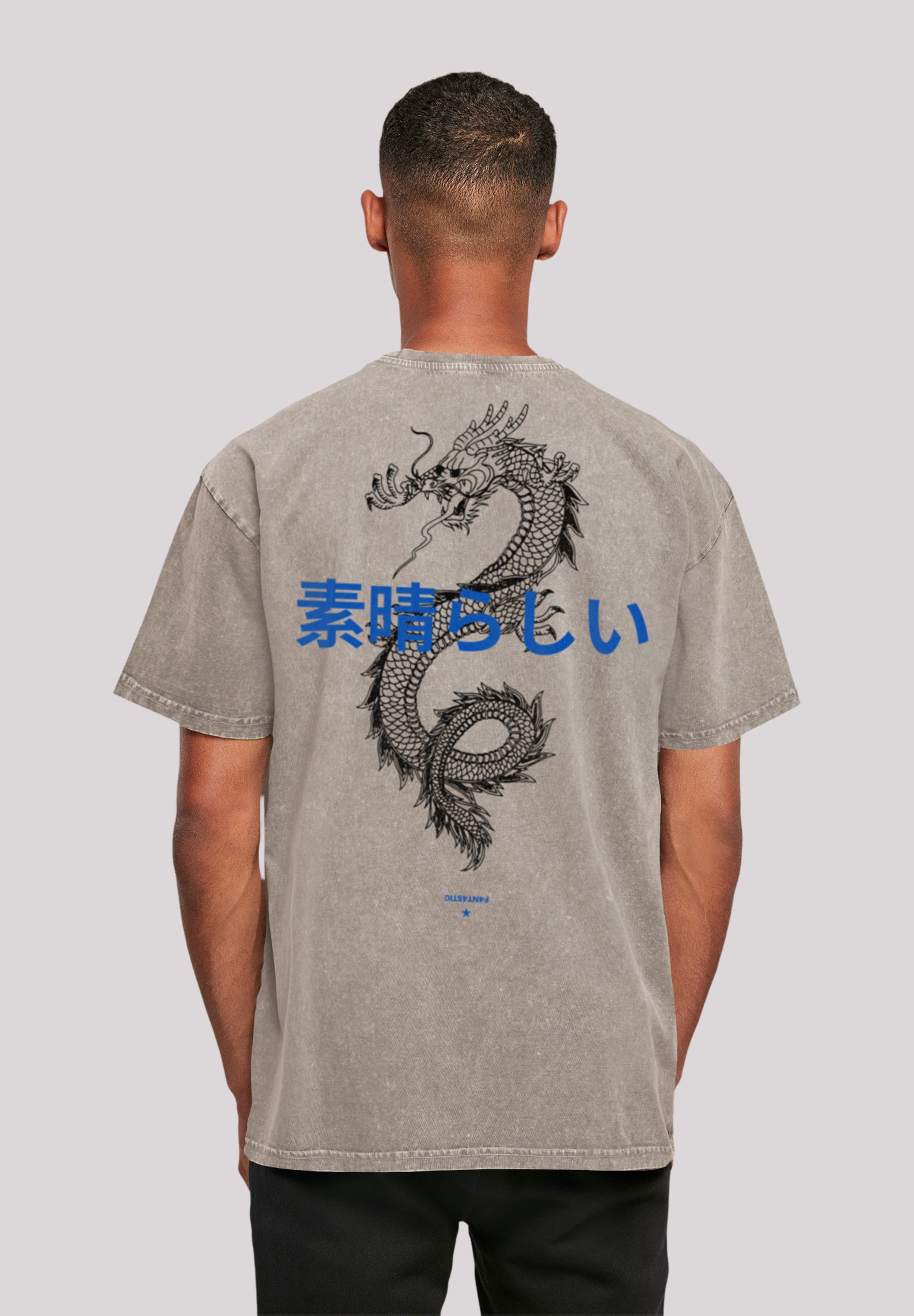 T-Shirt F4NT4STIC "Drache", Herren, Gr. 3XL, grau (asphalt), Obermaterial: 100% Baumwolle, oversize, Rundhals, ohne Bündchen, Shirts, Print Image