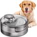 NPET Automatic Water Dish Plastic (affordable option) | 5.3 H x 12 W x 12 D in | Wayfair DF10