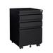 Inbox Zero Kushagra 15" Wide Storage Cabinet Stainless Steel in Black | 23 H x 15 W x 17 D in | Wayfair AB7CE9B73291464FA41B7193388B7B25