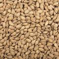 Almond Roasted & Salted (Available from 250 g to 2.5 kg) (2.5 Kg)