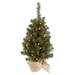 Vickerman 22003 - 30" x 16" Artificial Felton Pine 50 Clear Lights Christmas Tree (A116031)