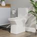 DeerValley Ace Dual-Flush Square Seat One-Piece Floor Mounted Toilet w/ Glazed Surface(Seat Included) in White | Wayfair DV-1F0072