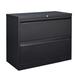 Latitude Run® Jarir 17.72" Wide 2 -Drawer Steel File Cabinet in Black | Wayfair 9C40FE6ABC3C47819623DAA36F128102