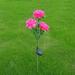 Fesfesfes Three-Headed Lawn Light Outdoor Solar LED Peony Flower Light Garden Decoration Artificial - Peony Lights Flower Stake Waterproof Solar Decorative Lights for Patio Pathway-Hot Pink